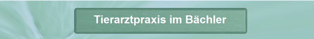 Tierarztpraxis im Bchler